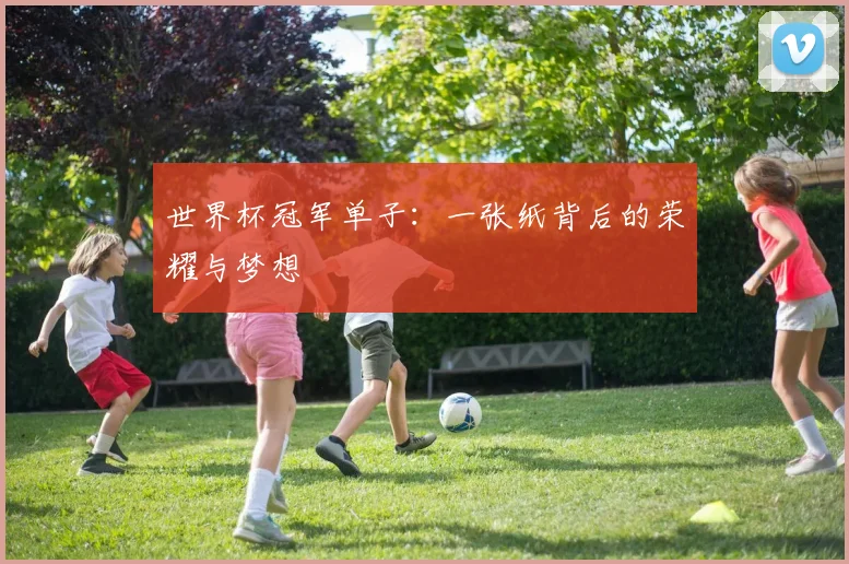 世界杯冠军单子:一张纸背后的荣耀与梦想