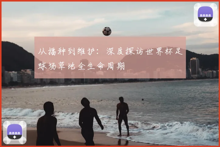 从播种到维护:深度探访世界杯足球场草地全生命周期