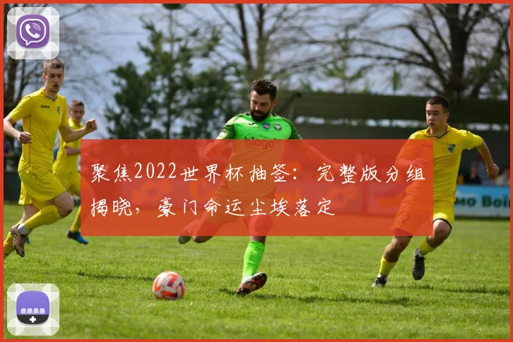 聚焦2022世界杯抽签:完整版分组揭晓,豪门命运尘埃落定